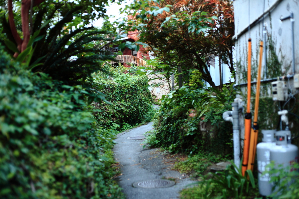 ジブリの世界２