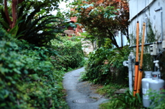 ジブリの世界２