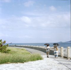 海岸線の日常