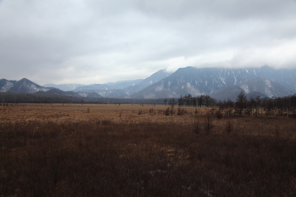 戦場ヶ原