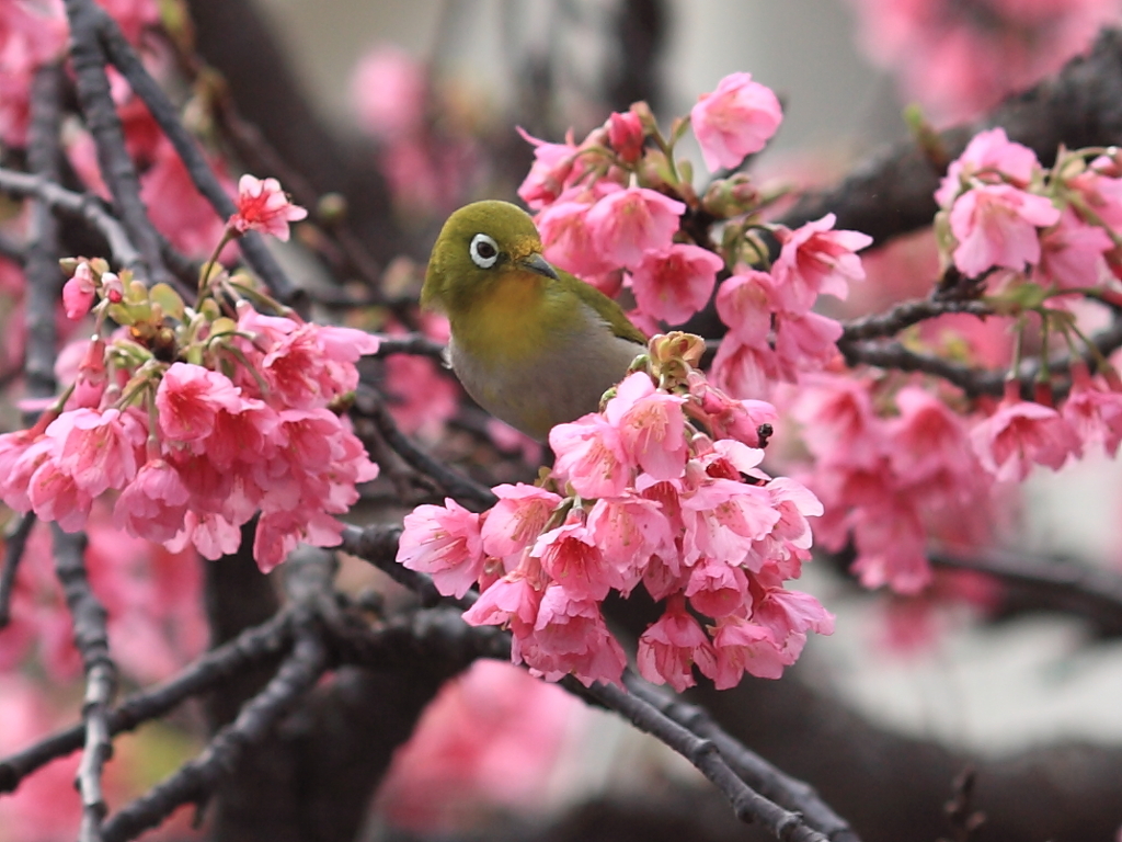 はじめまして