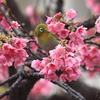 はじめまして