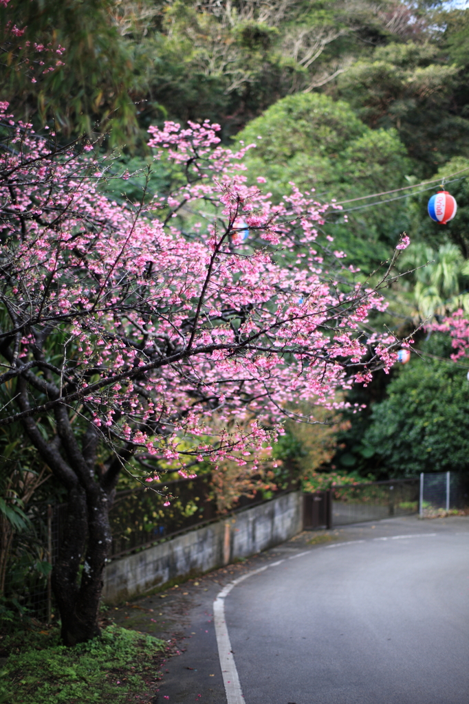 春の風景