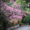 春の風景