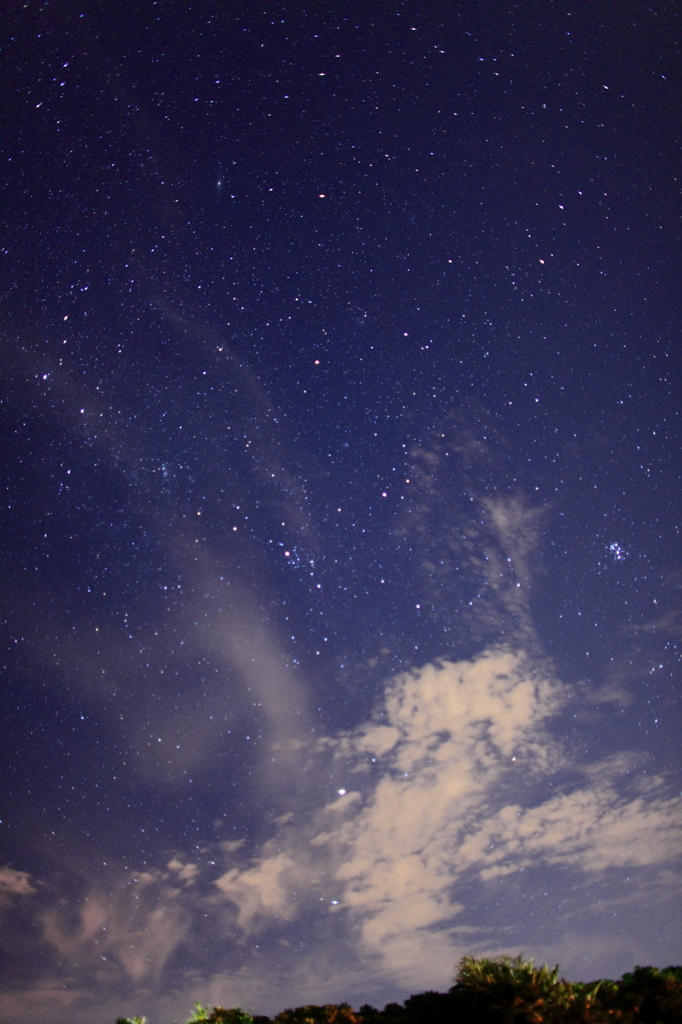 西の夜空を仰ぐ