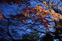 太陽の悪戯