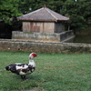 グヮグヮ