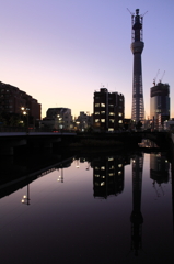 スカイツリーのある風景