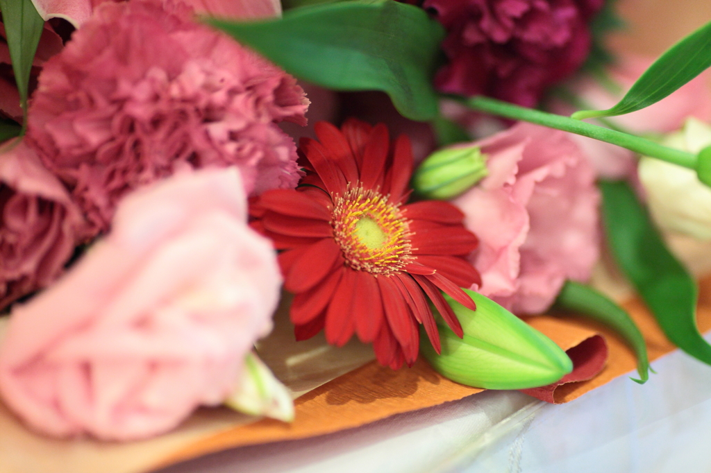 私を連れてって