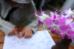 涼しげな・・・