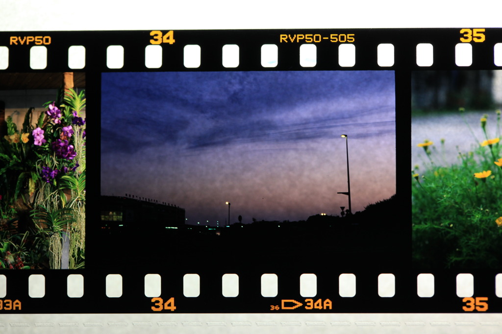 フィルムの世界12