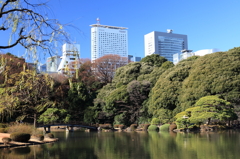ビルと森