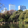 ビルと森