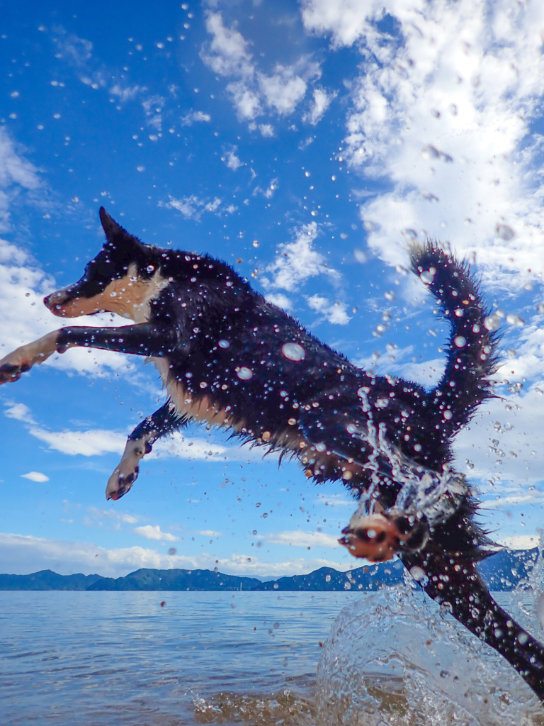 水しぶき By Ikuko Id 写真共有サイト Photohito