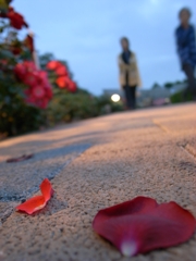 roseleaf