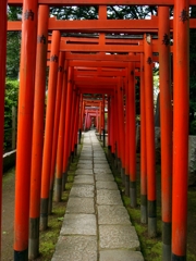 鳥居のトンネル