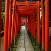鳥居のトンネル