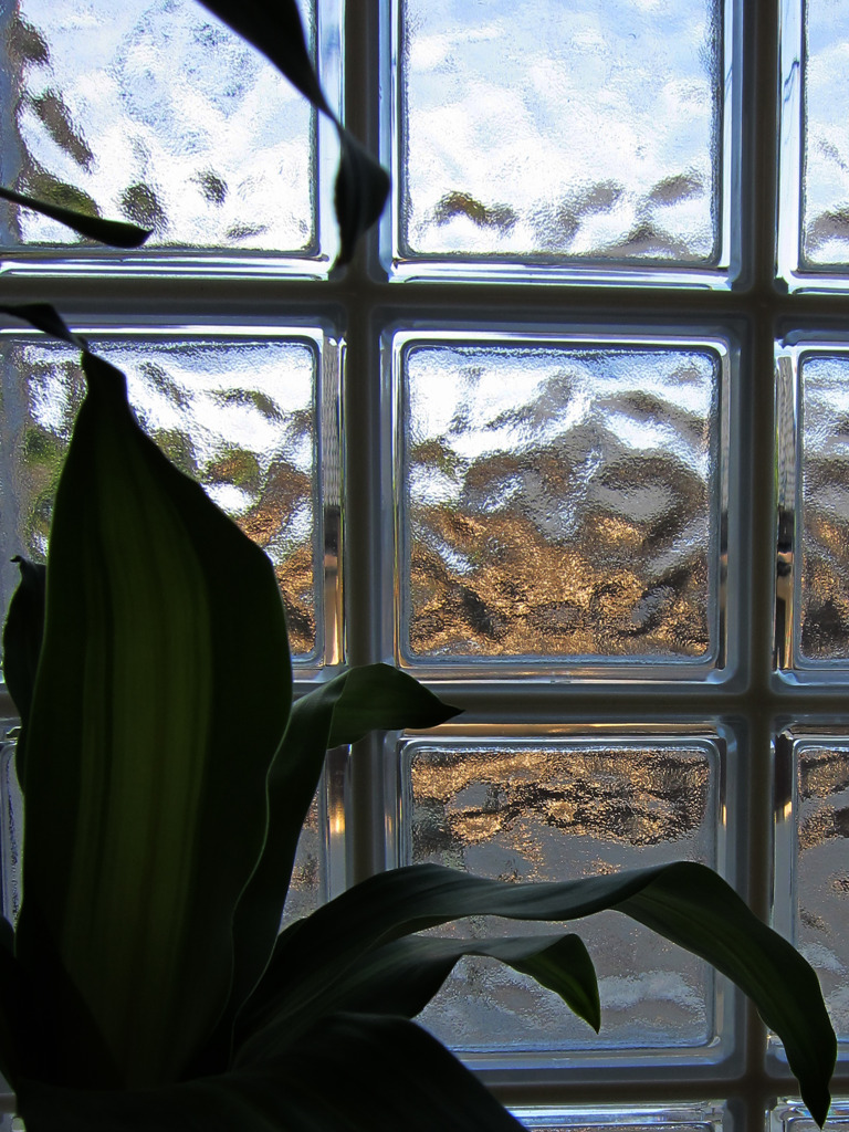 block glass & leaves