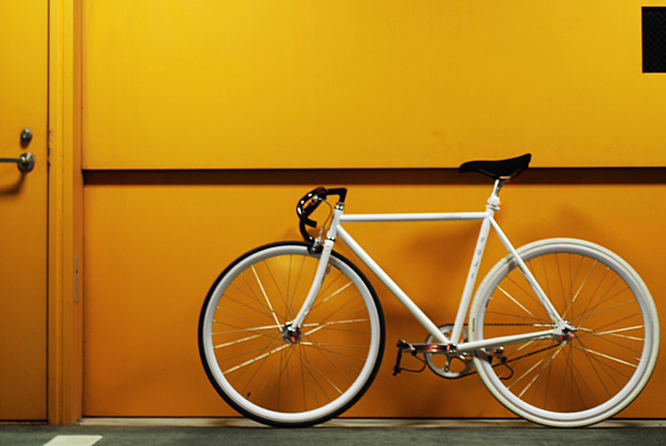 fuji feather white