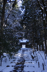 参道を行く（常照皇寺１）