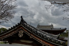 平等院③