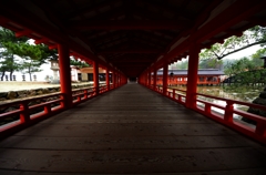 厳島神社　廊下