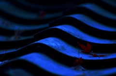 紅い小舟