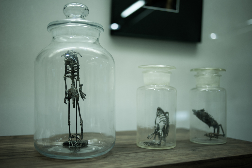 Collection