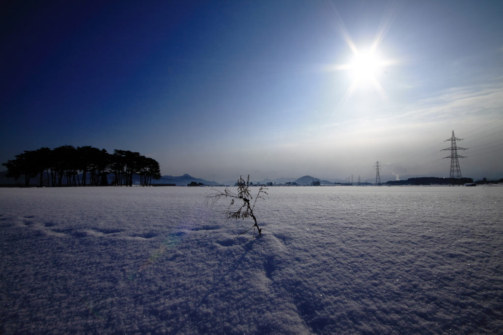 雪にかいたLOVE LETTER