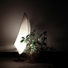 healing of lamp...
