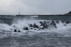 winter at the sea of japan...3