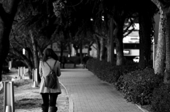 『torsion』
