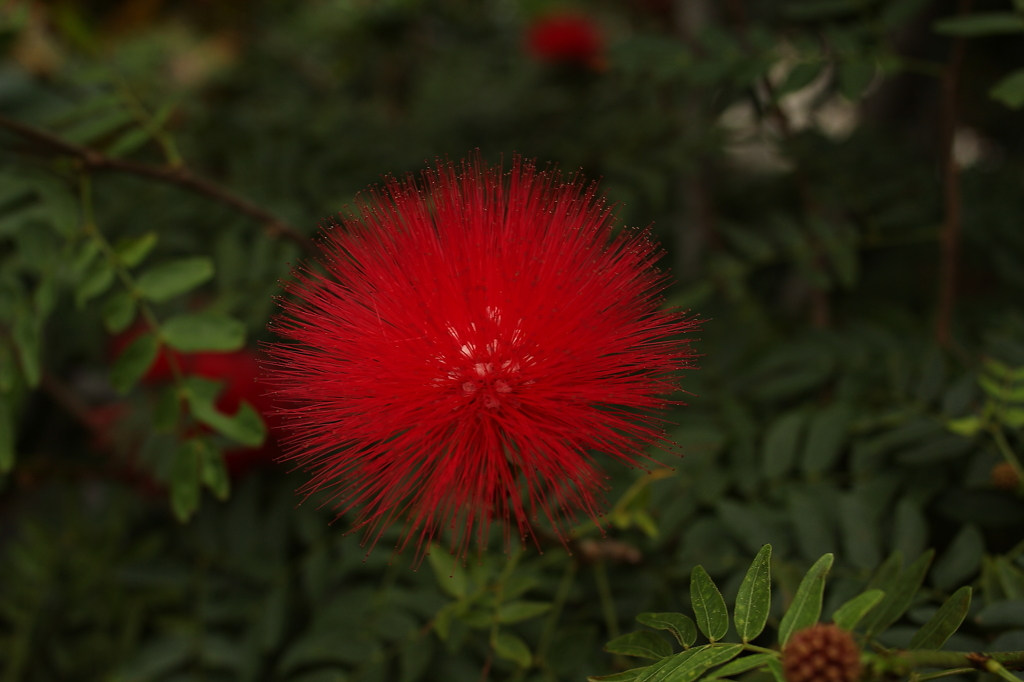 大阪　試し撮り027