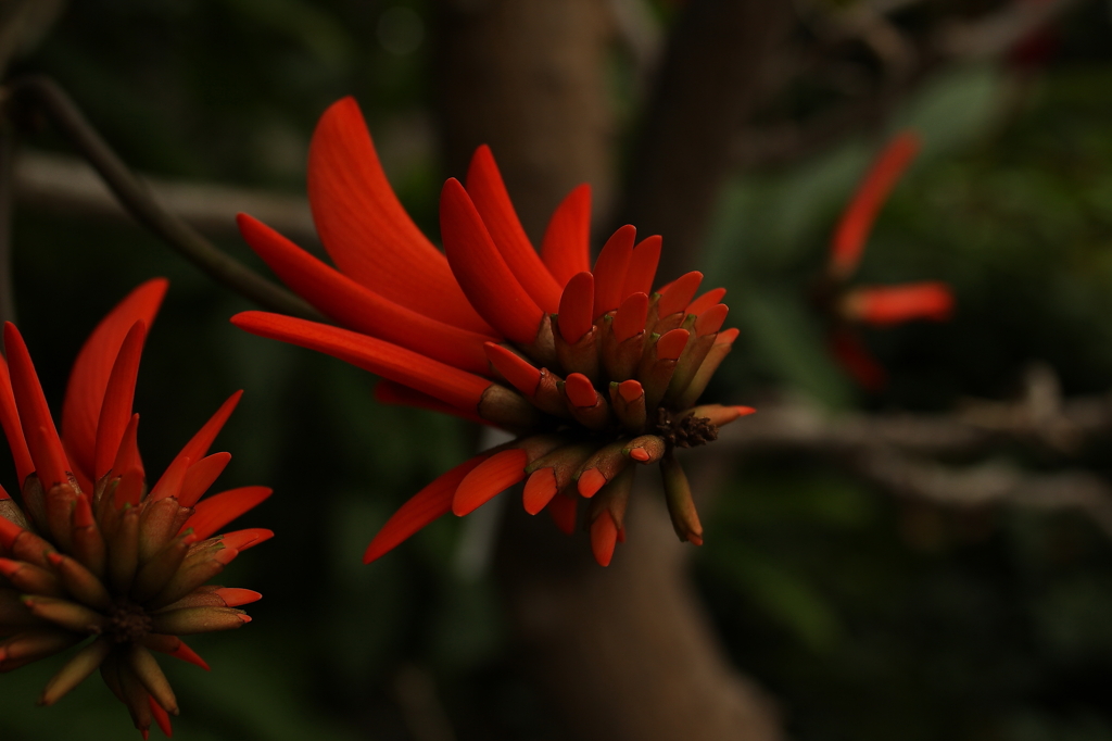大阪　試し撮り046