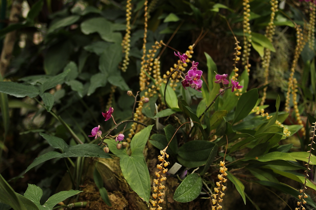 大阪　試し撮り059