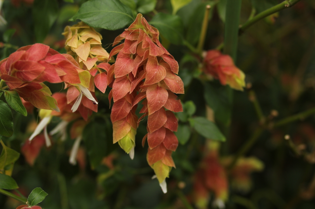 大阪　試し撮り023