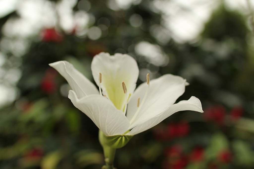 大阪　試し撮り044