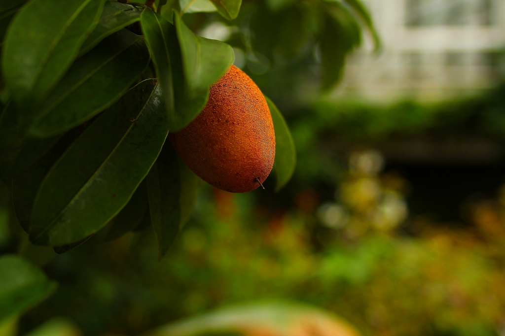 大阪　試し撮り040