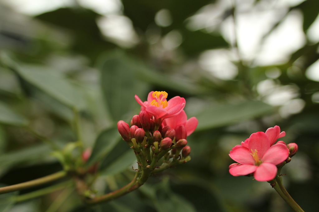 大阪　試し撮り026