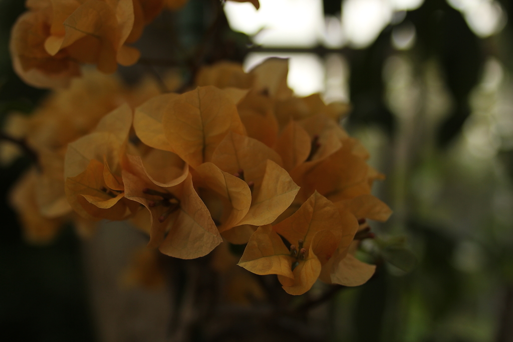 大阪　試し撮り021