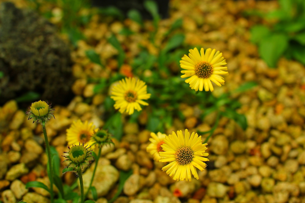 大阪　試し撮り007