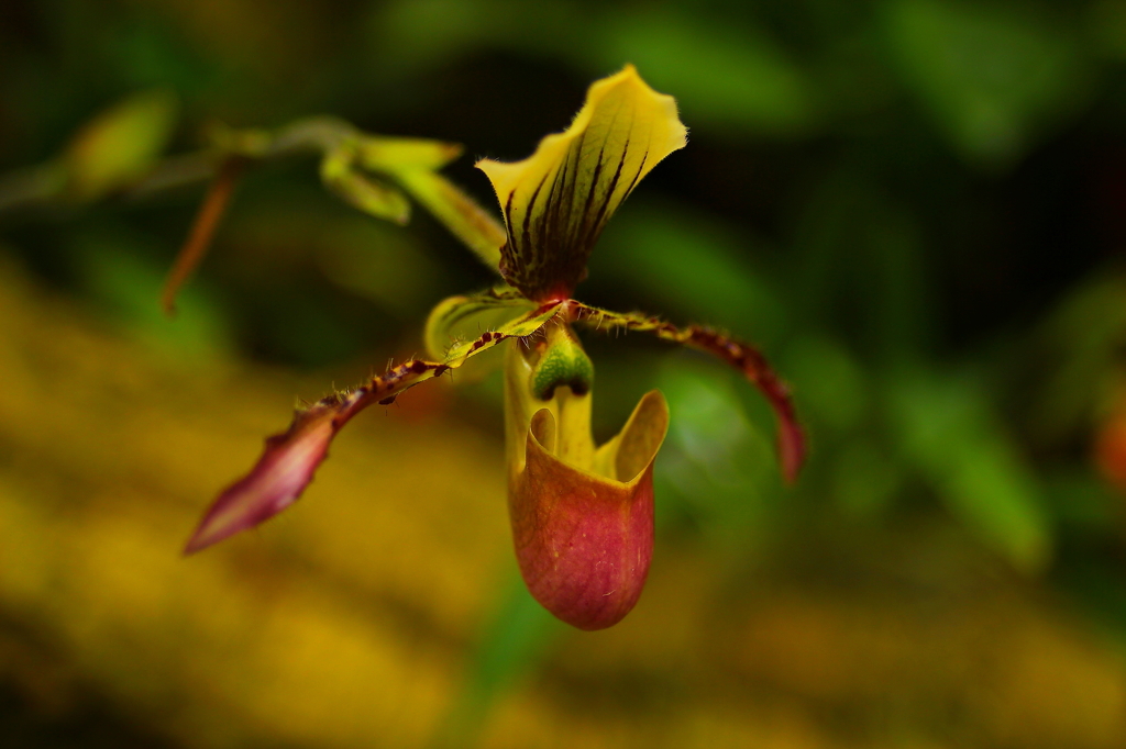 大阪　試し撮り053