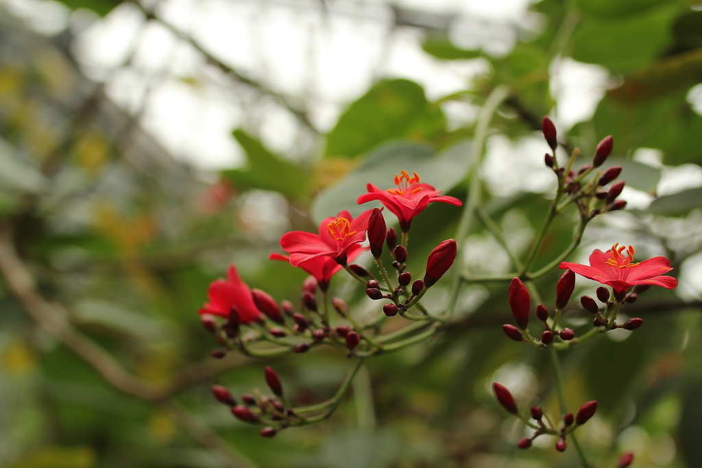 大阪　試し撮り029