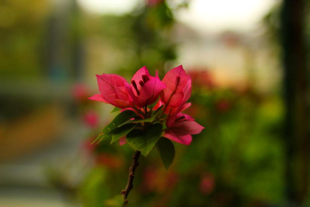 大阪　試し撮り020