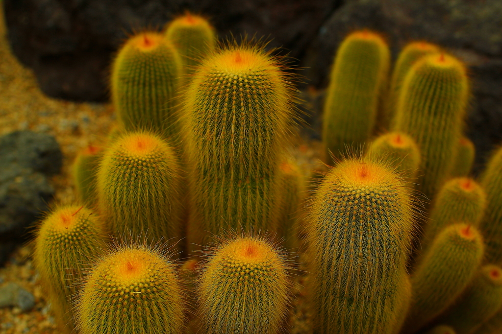 大阪　試し撮り016