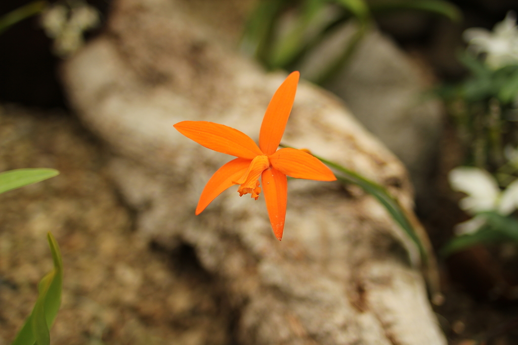 大阪　試し撮り054