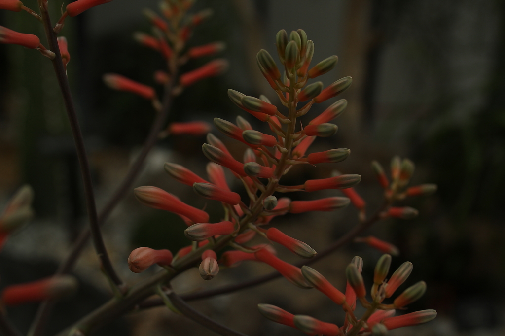 大阪　試し撮り018