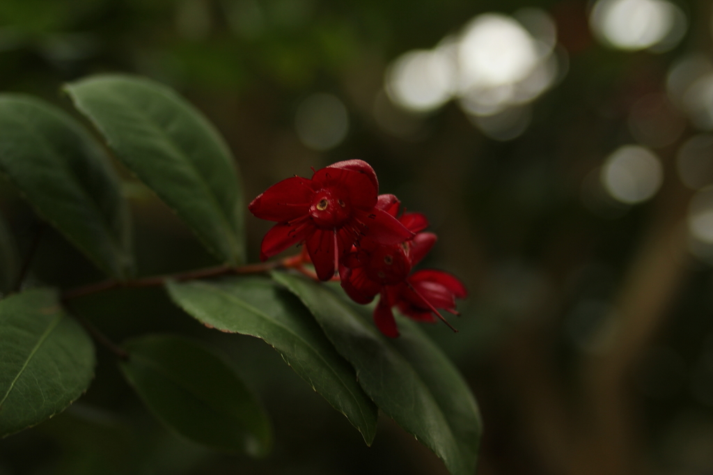 大阪　試し撮り022