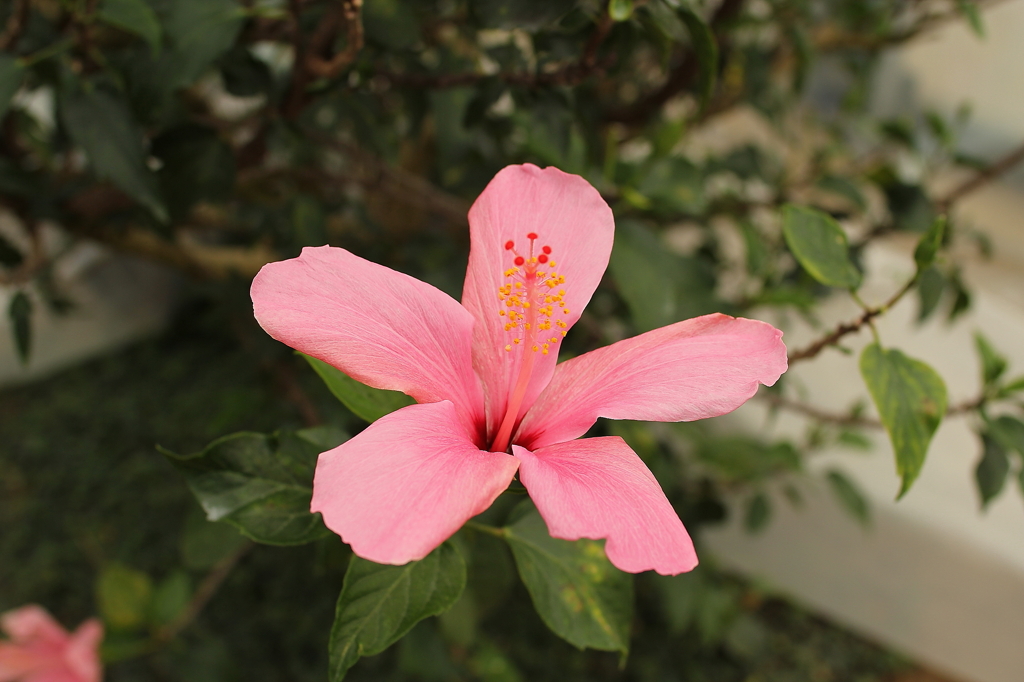 大阪　試し撮り037