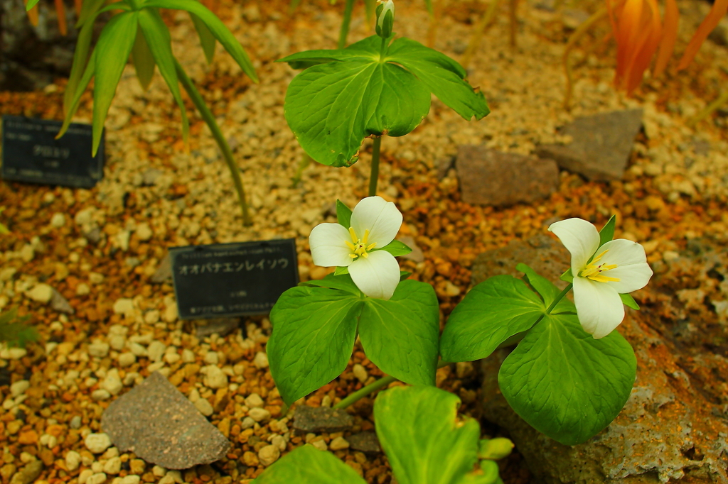 大阪　試し撮り010